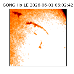 gong - 2026-06-01T06:02:42