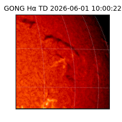 gong - 2026-06-01T10:00:22