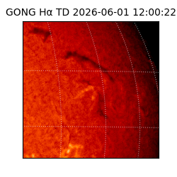 gong - 2026-06-01T12:00:22