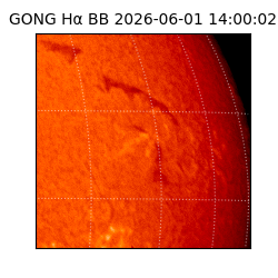 gong - 2026-06-01T14:00:02