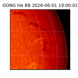 gong - 2026-06-01T19:00:02