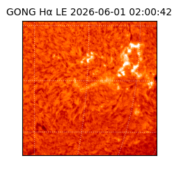 gong - 2026-06-01T02:00:42