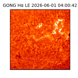 gong - 2026-06-01T04:00:42