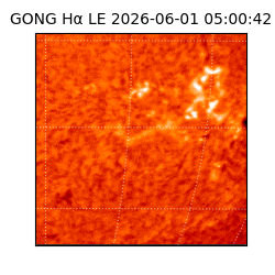 gong - 2026-06-01T05:00:42
