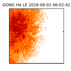 gong - 2026-06-01T06:02:42