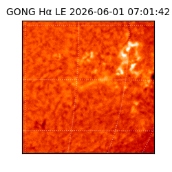 gong - 2026-06-01T07:01:42
