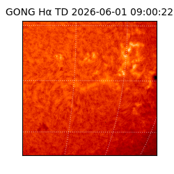 gong - 2026-06-01T09:00:22