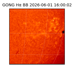 gong - 2026-06-01T16:00:02