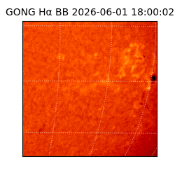 gong - 2026-06-01T18:00:02