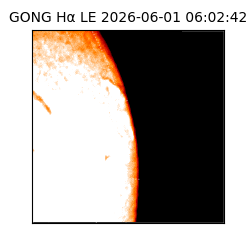 gong - 2026-06-01T06:02:42