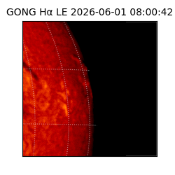 gong - 2026-06-01T08:00:42