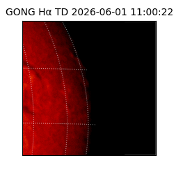 gong - 2026-06-01T11:00:22