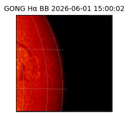 gong - 2026-06-01T15:00:02