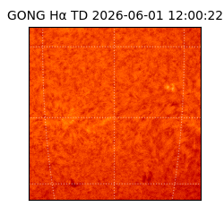 gong - 2026-06-01T12:00:22