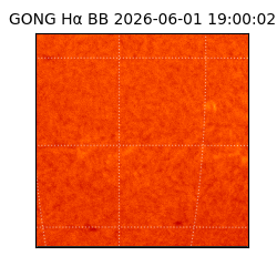 gong - 2026-06-01T19:00:02
