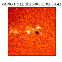 gong - 2026-06-01T02:00:42