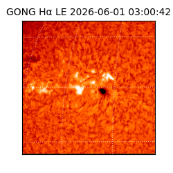 gong - 2026-06-01T03:00:42