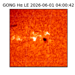 gong - 2026-06-01T04:00:42