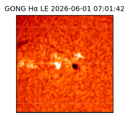 gong - 2026-06-01T07:01:42