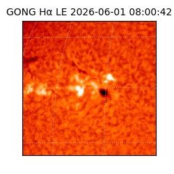 gong - 2026-06-01T08:00:42