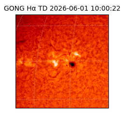 gong - 2026-06-01T10:00:22