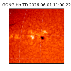 gong - 2026-06-01T11:00:22
