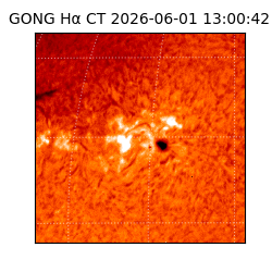 gong - 2026-06-01T13:00:42