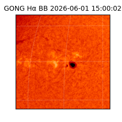 gong - 2026-06-01T15:00:02