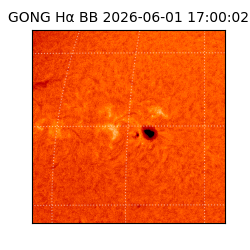gong - 2026-06-01T17:00:02