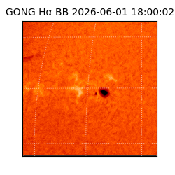 gong - 2026-06-01T18:00:02