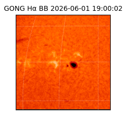 gong - 2026-06-01T19:00:02