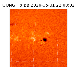 gong - 2026-06-01T22:00:02