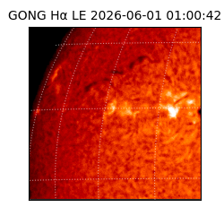 gong - 2026-06-01T01:00:42