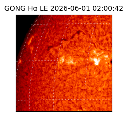 gong - 2026-06-01T02:00:42
