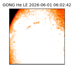 gong - 2026-06-01T06:02:42