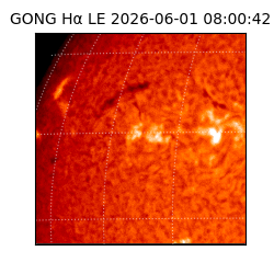 gong - 2026-06-01T08:00:42