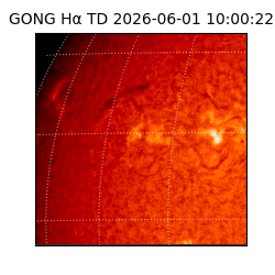 gong - 2026-06-01T10:00:22