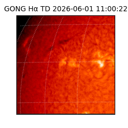 gong - 2026-06-01T11:00:22
