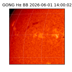 gong - 2026-06-01T14:00:02