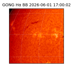 gong - 2026-06-01T17:00:02