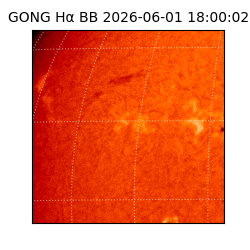 gong - 2026-06-01T18:00:02