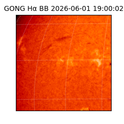 gong - 2026-06-01T19:00:02