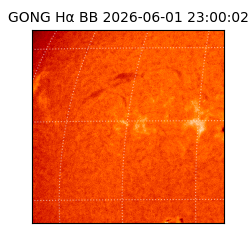 gong - 2026-06-01T23:00:02