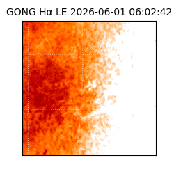 gong - 2026-06-01T06:02:42