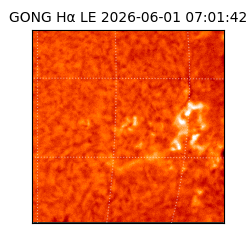 gong - 2026-06-01T07:01:42
