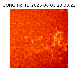 gong - 2026-06-01T10:00:22