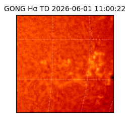 gong - 2026-06-01T11:00:22