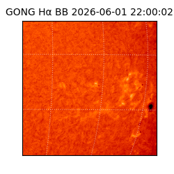 gong - 2026-06-01T22:00:02