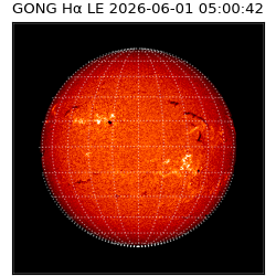 gong - 2026-06-01T05:00:42