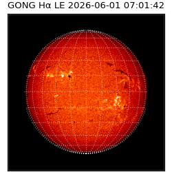 gong - 2026-06-01T07:01:42